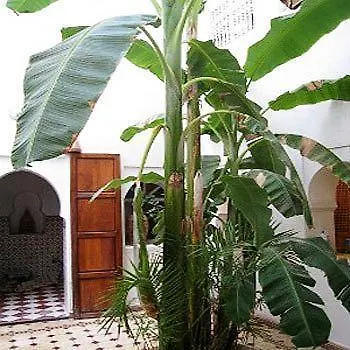 Riad Johana Marrakesh