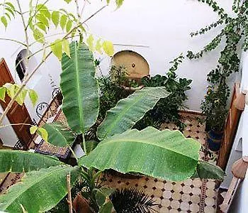 ** Hotel Riad Johana Marakéš Maroko